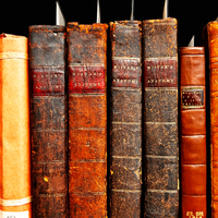 photograph of south rare book room shelves with Orr collection  